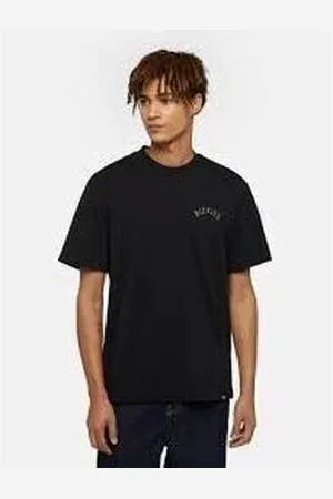 Dickies Tops y Camisetas PANTHER TEE - DK0A4Z4I-BLK1 para hombre