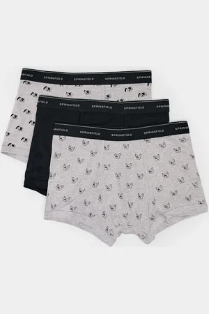 Springfield Pack 3 bóxers perros