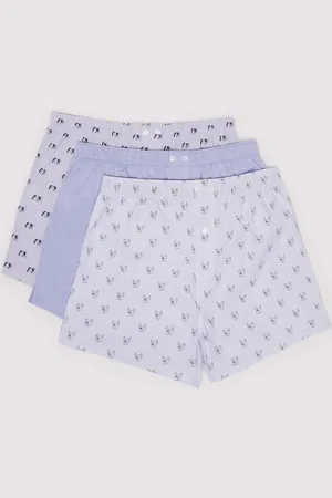 Springfield Pack 3 boxers perros