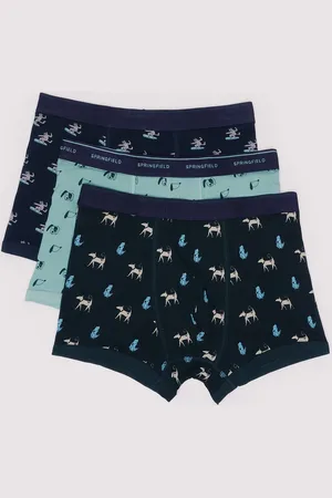 Springfield Pack 3 boxers perros