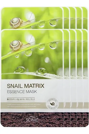 SCINIC Snail Matrix Essence Mask - 1pc (10ea) Set