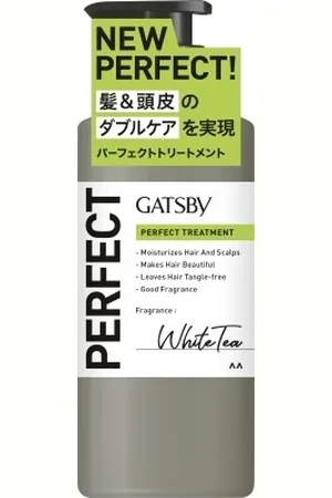 Mandom Gatsby Perfect Treatment - 380ml