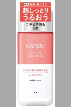 Mandom Gatsby Skin Care Aqua Cream Medicated for Dry Skin - 200g