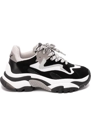 Ash Zapatillas