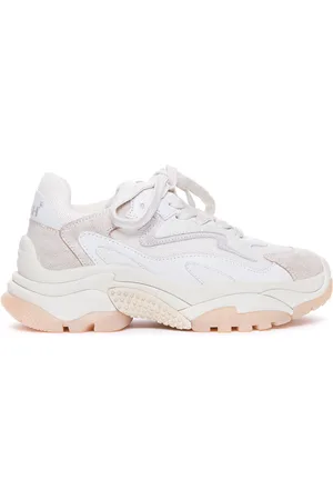 Ash Zapatillas