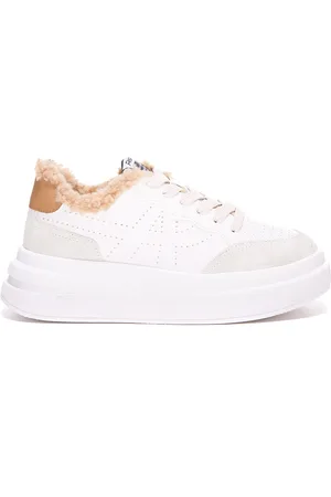 Ash Zapatillas