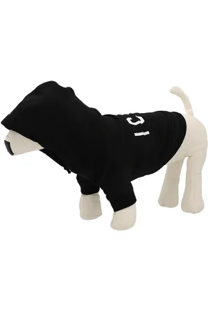 Dsquared2 Sudadera