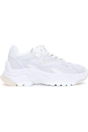 Ash Zapatillas
