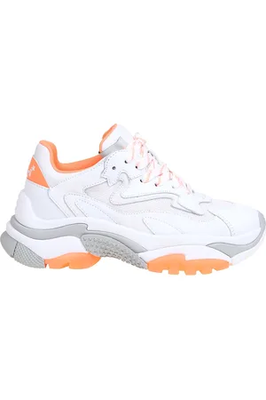 Ash Zapatillas