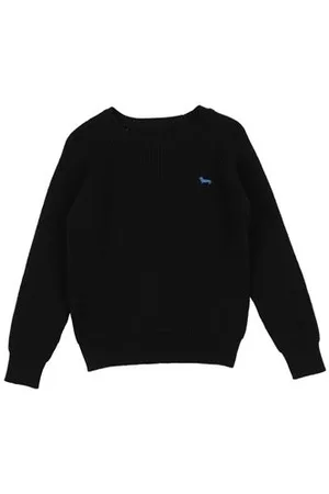 HARMONT&BLAINE PRENDAS DE PUNTO - Pullover