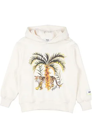 Msgm CAMISETAS Y TOPS - Sudaderas
