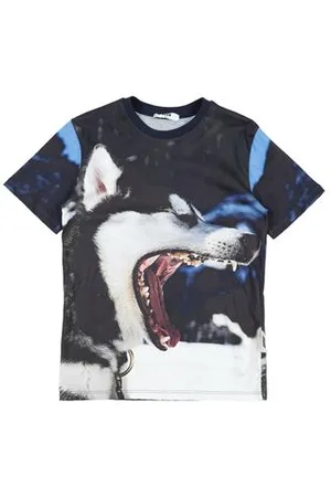 Msgm CAMISETAS Y TOPS - Camisetas