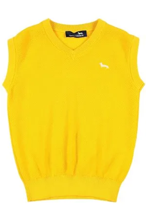 HARMONT&BLAINE PRENDAS DE PUNTO - Pullover