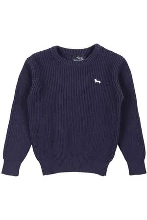 HARMONT&BLAINE PRENDAS DE PUNTO - Pullover